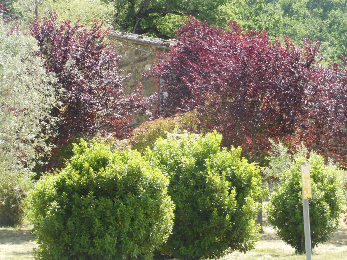 La Fontaiola Vila Le Piazze Exterior foto